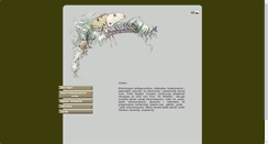 Desktop Screenshot of paradox.co.pl